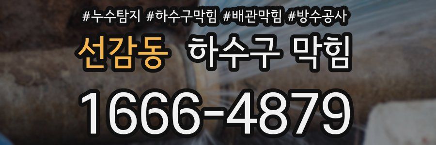 선감동 하수구 막힘