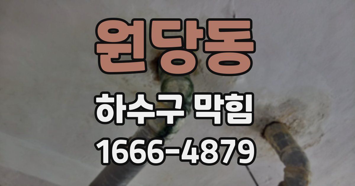 원당동 하수구 막힘