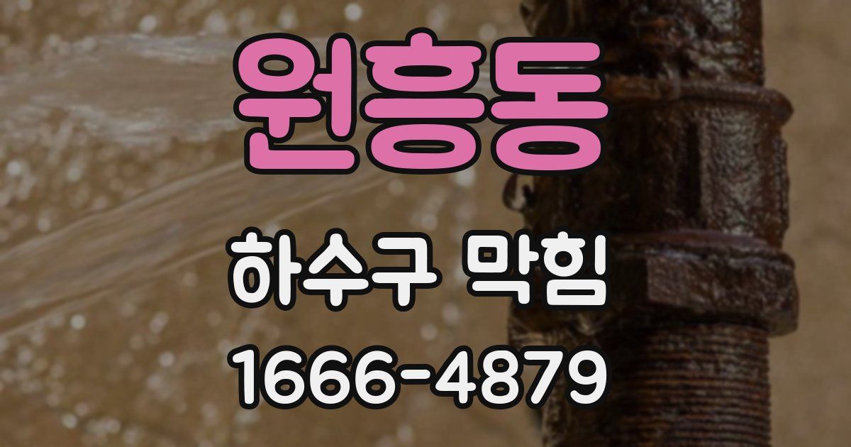 원흥동 하수구 막힘