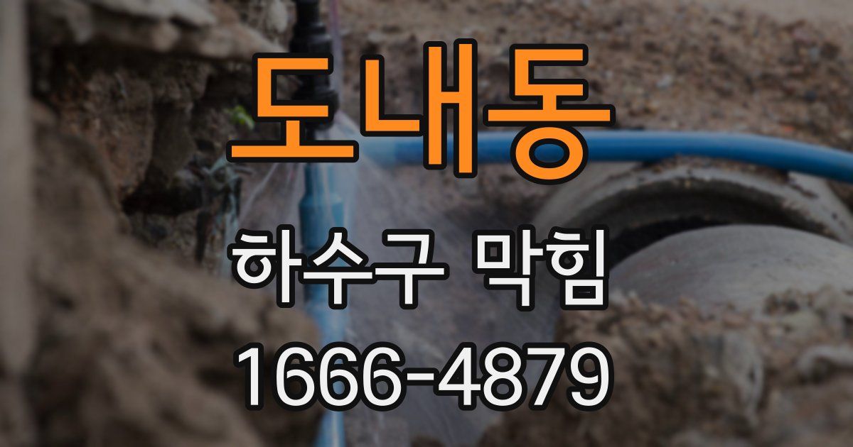 도내동 하수구 막힘