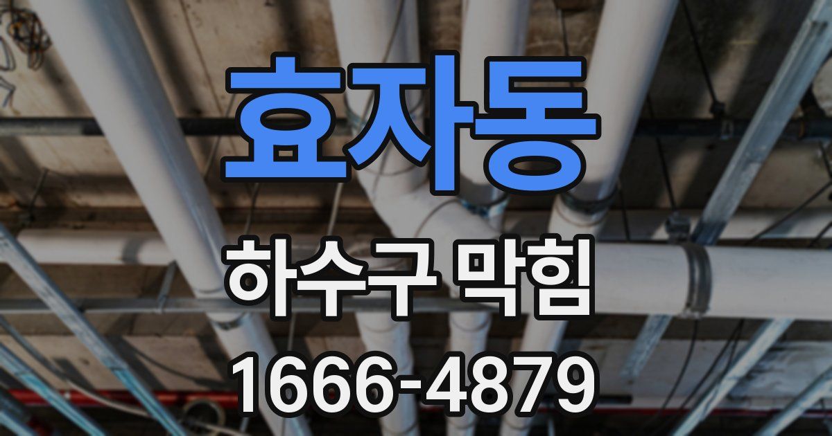 효자동 하수구 막힘