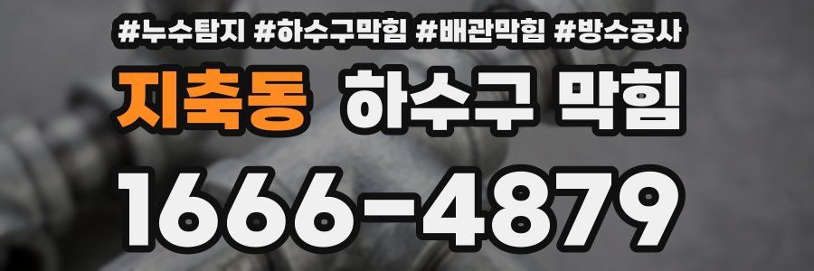 지축동 하수구 막힘