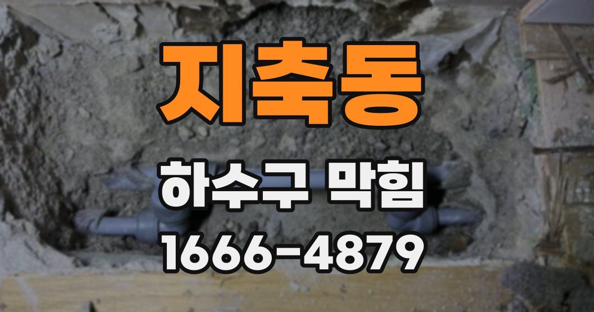 지축동 하수구 막힘