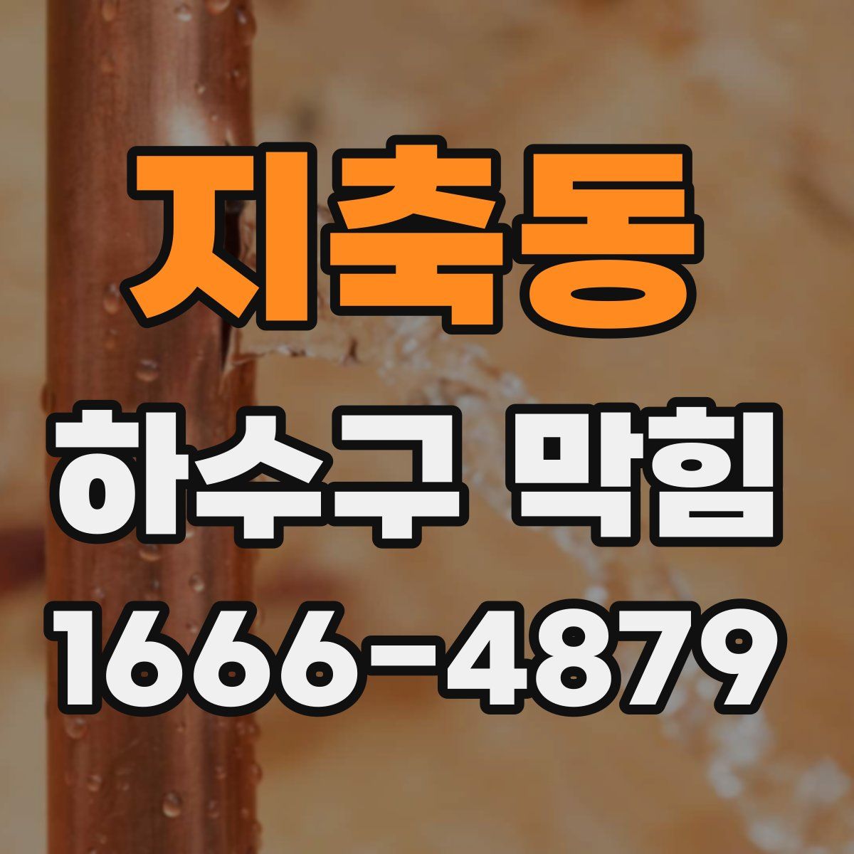 지축동 하수구 막힘