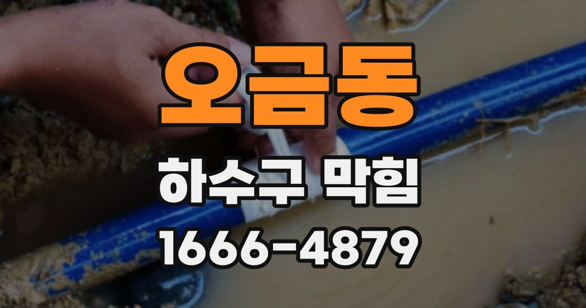 오금동 하수구 막힘