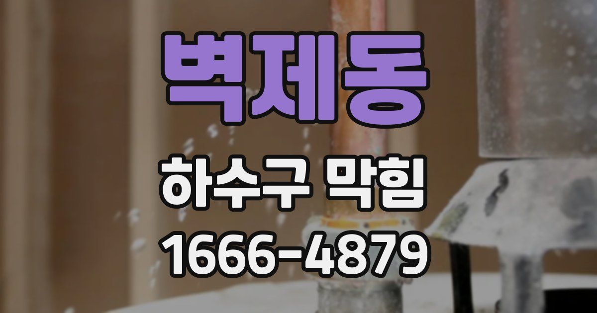 벽제동 하수구 막힘
