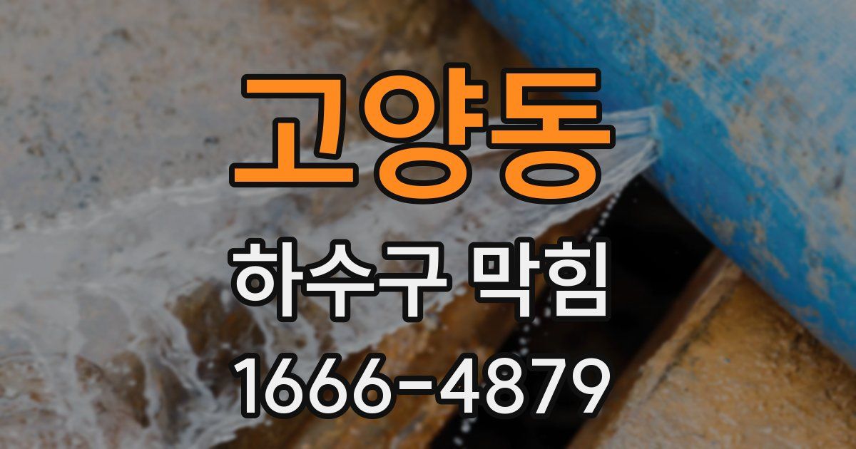 고양동 하수구 막힘