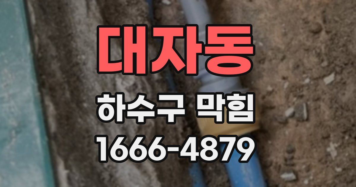 대자동 하수구 막힘
