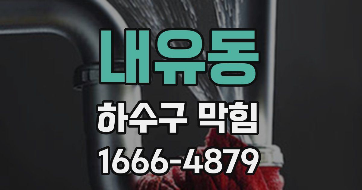 내유동 하수구 막힘
