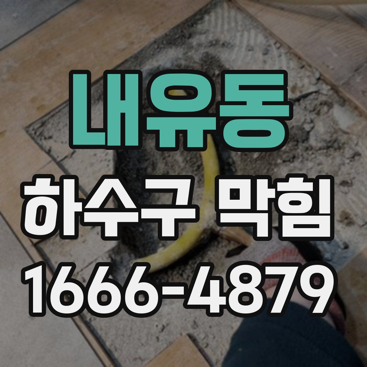 내유동 하수구 막힘