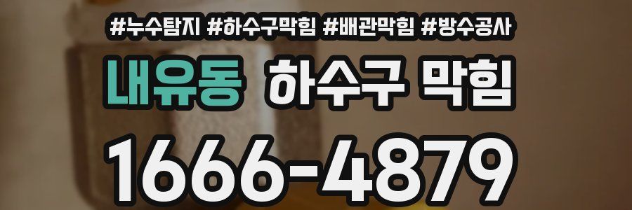 내유동 하수구 막힘