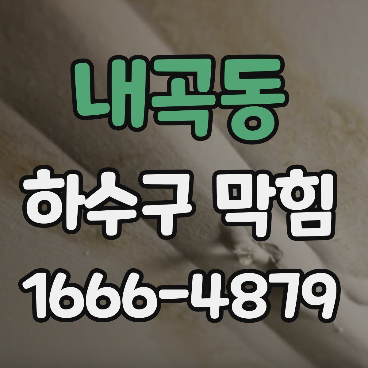 내곡동 하수구 막힘