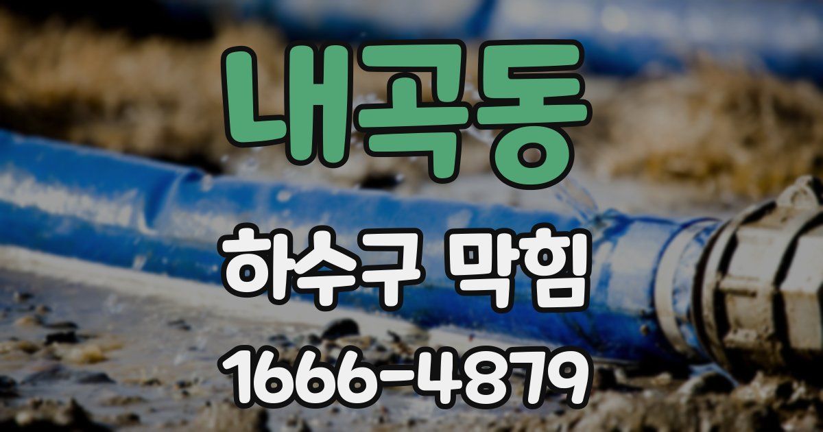 내곡동 하수구 막힘