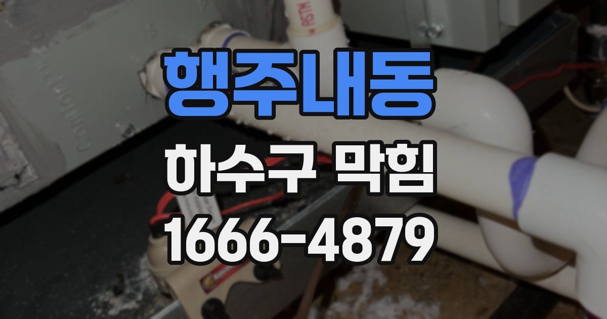 행주내동 하수구 막힘