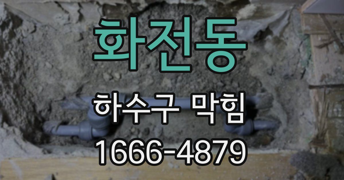 화전동 하수구 막힘