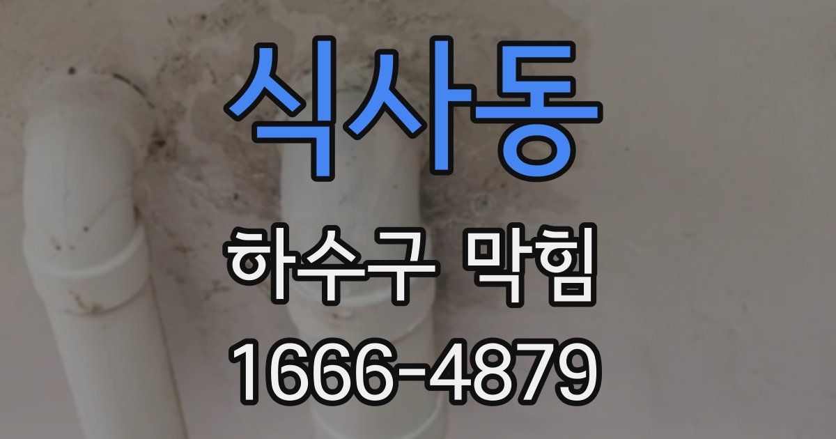 식사동 하수구 막힘