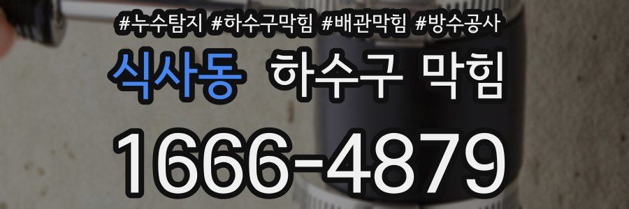 식사동 하수구 막힘