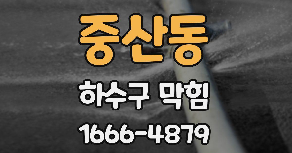 중산동 하수구 막힘