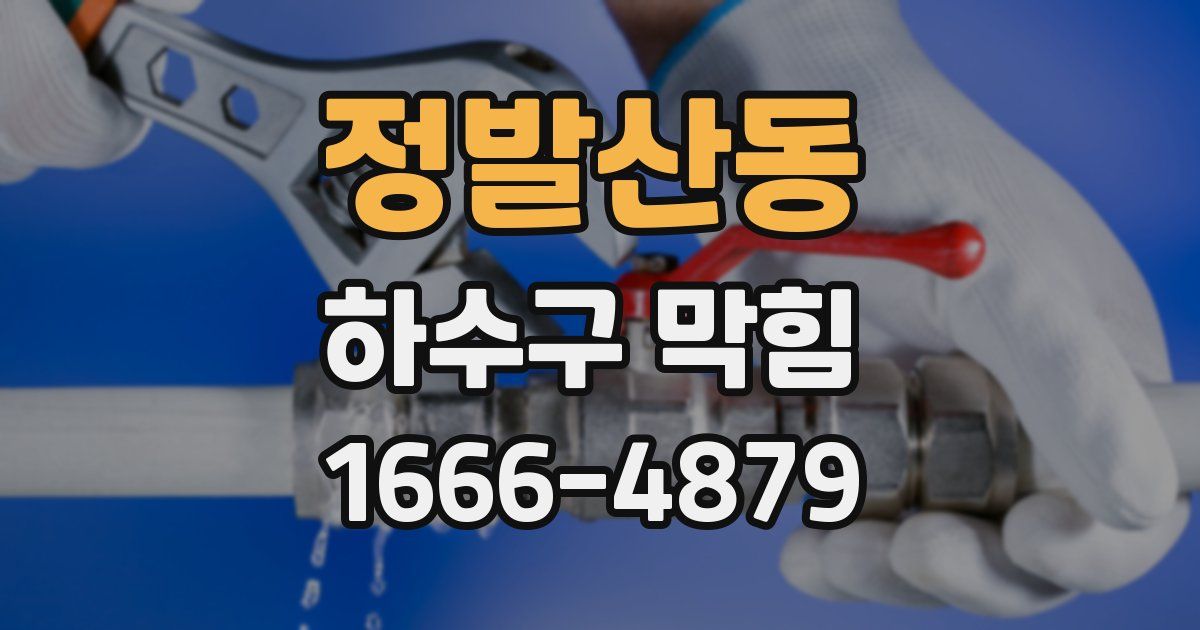 정발산동 하수구 막힘