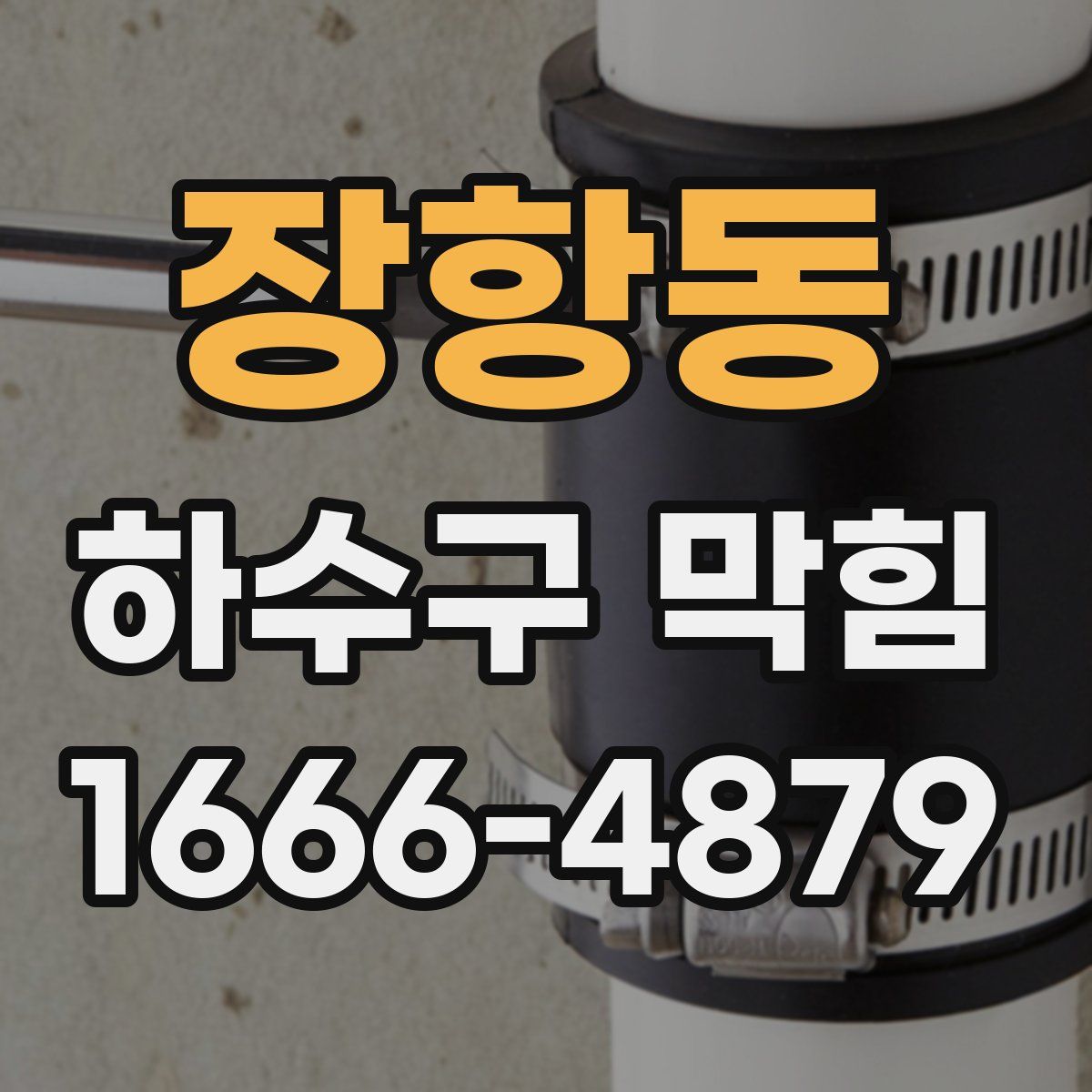 장항동 하수구 막힘