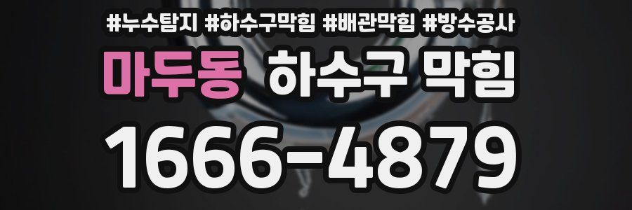 마두동 하수구 막힘