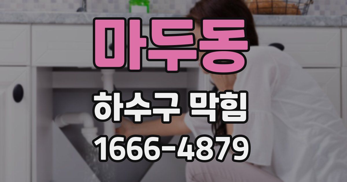 마두동 하수구 막힘