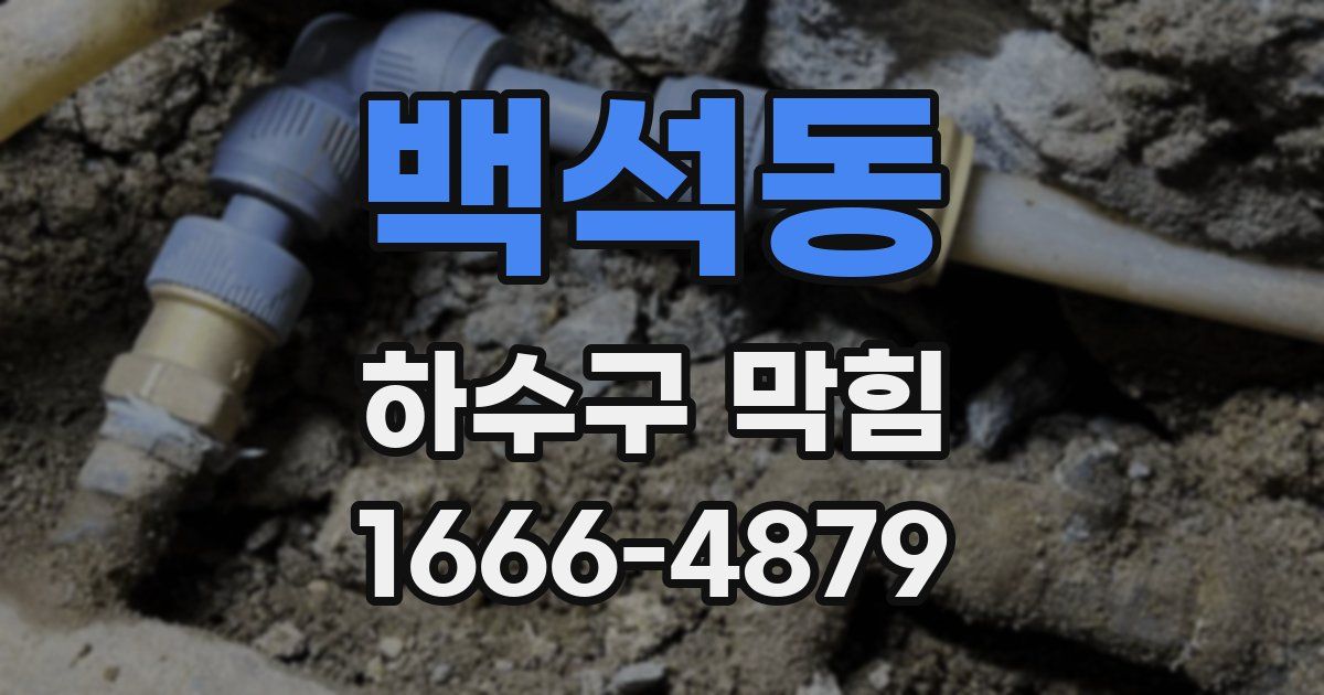 백석동 하수구 막힘