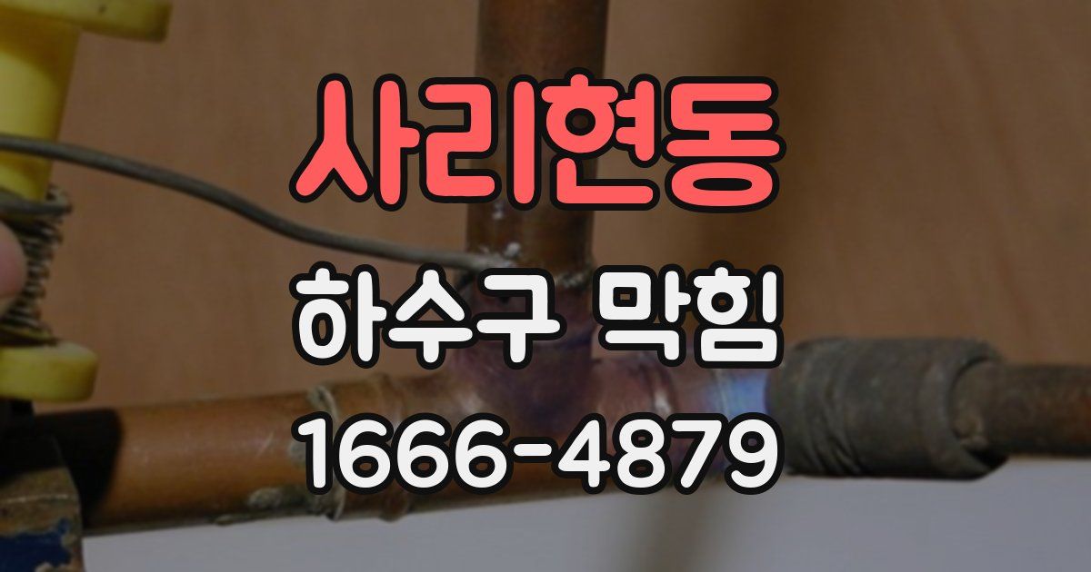 사리현동 하수구 막힘