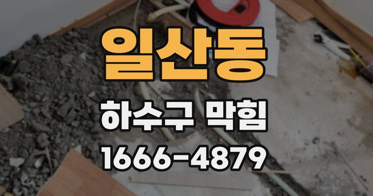 일산동 하수구 막힘