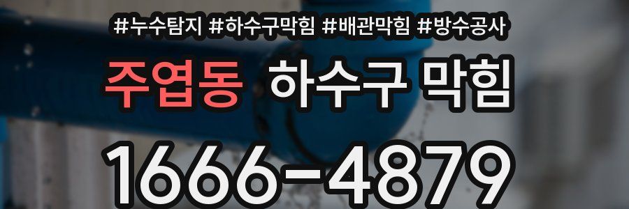 주엽동 하수구 막힘
