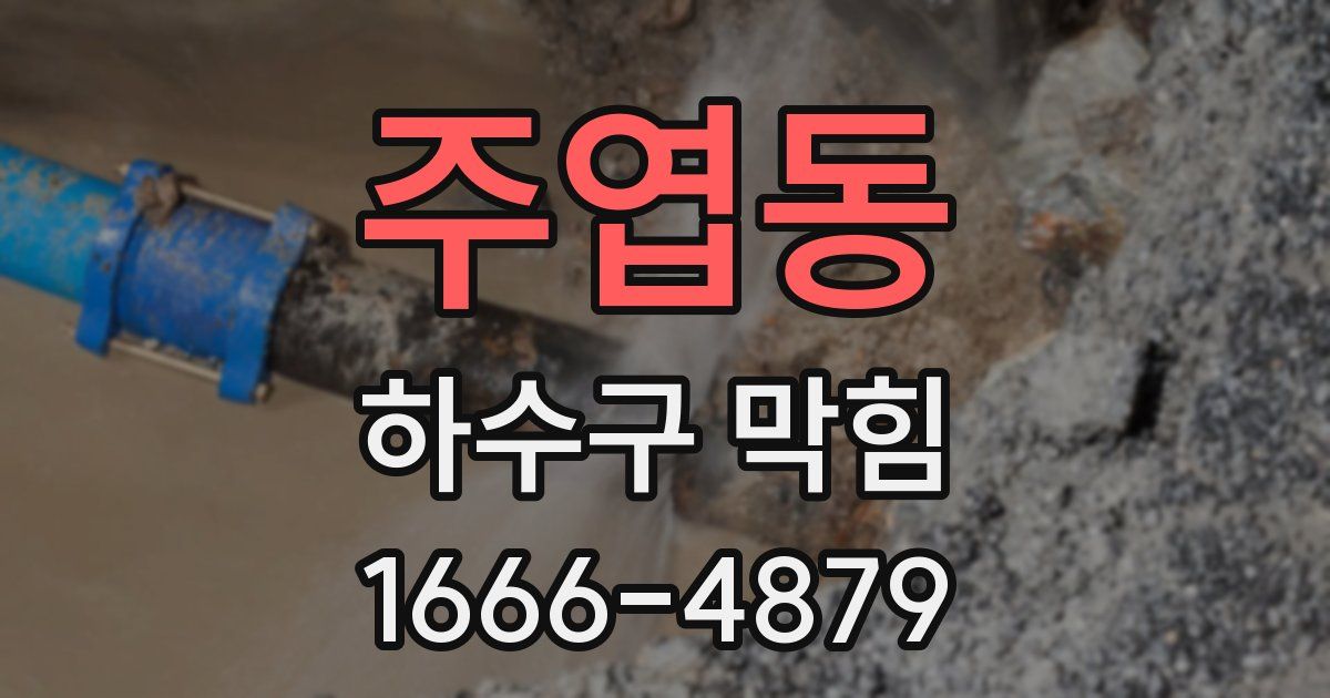 주엽동 하수구 막힘