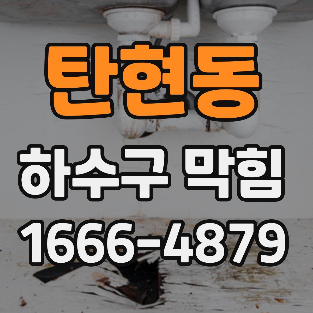 탄현동 하수구 막힘