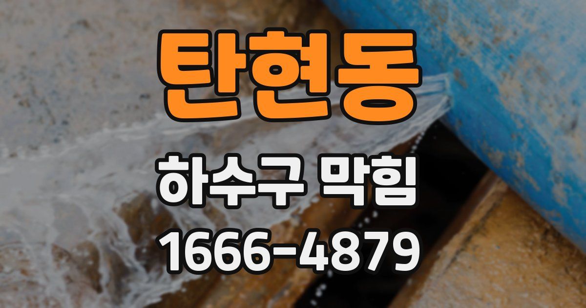 탄현동 하수구 막힘