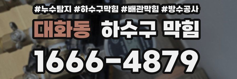 대화동 하수구 막힘