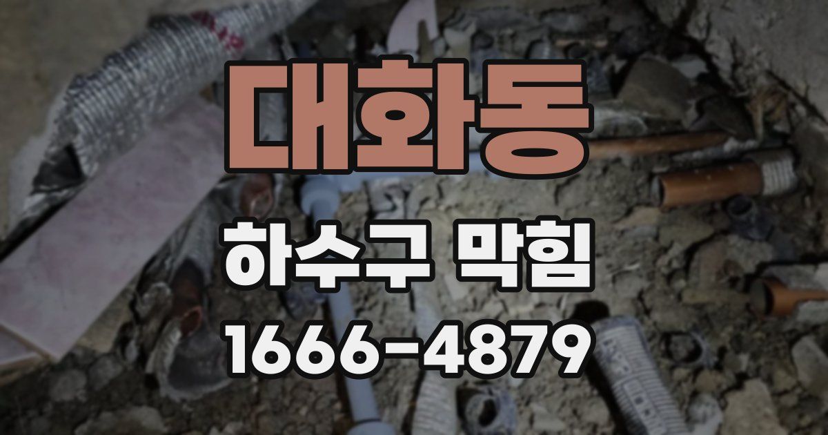 대화동 하수구 막힘