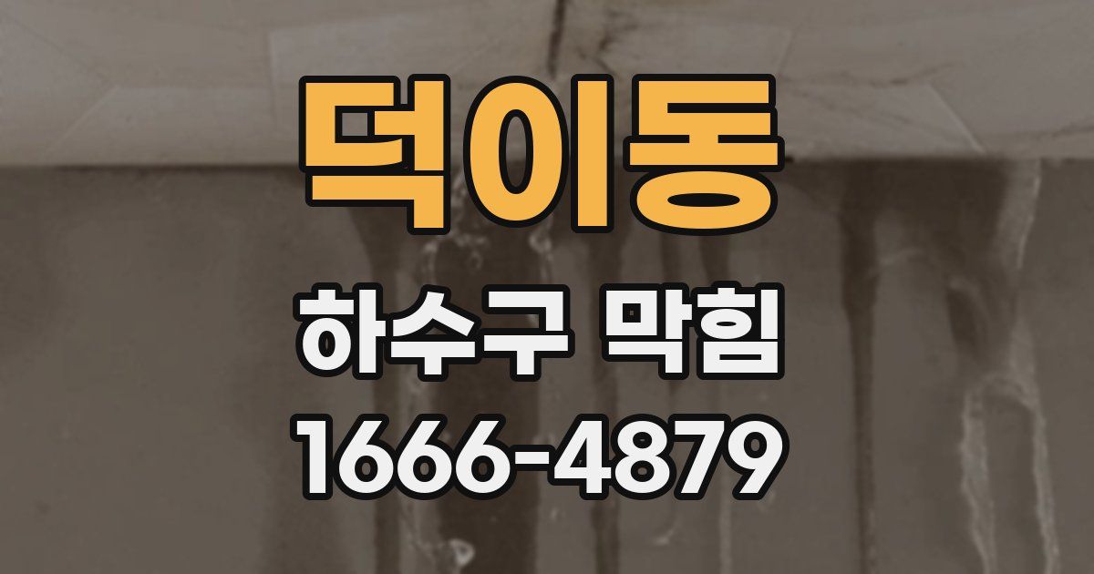 덕이동 하수구 막힘