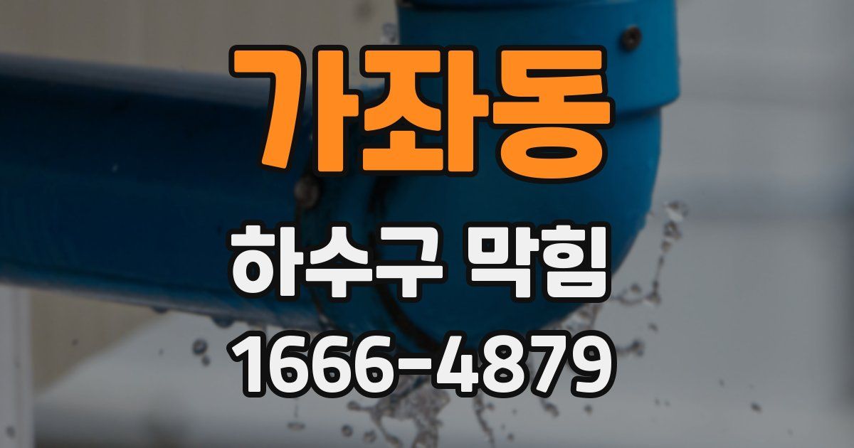 가좌동 하수구 막힘