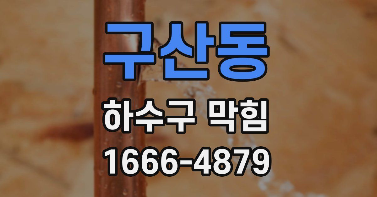 구산동 하수구 막힘