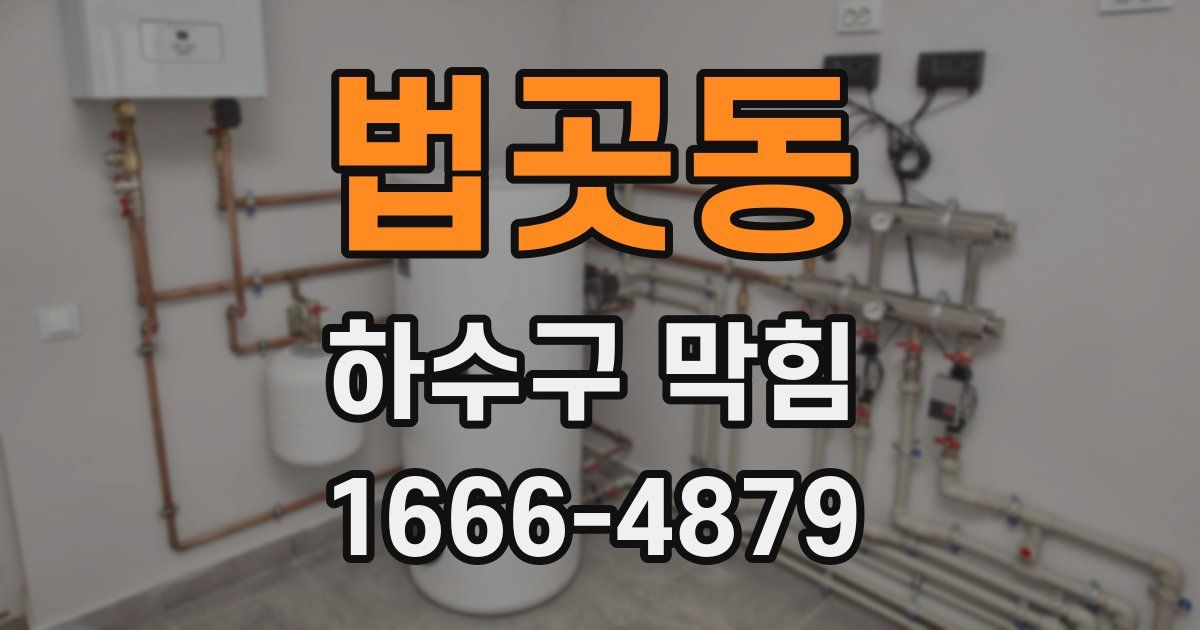 법곳동 하수구 막힘