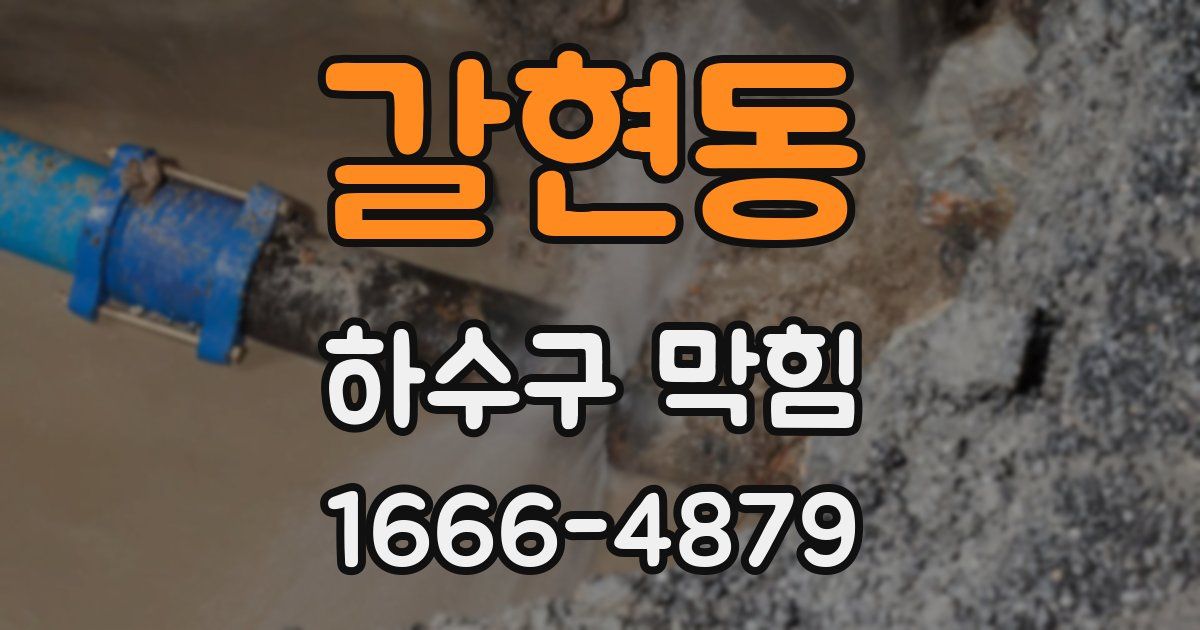 갈현동 하수구 막힘
