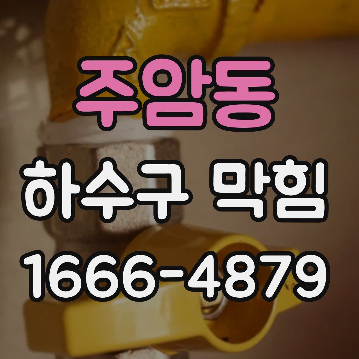 주암동 하수구 막힘