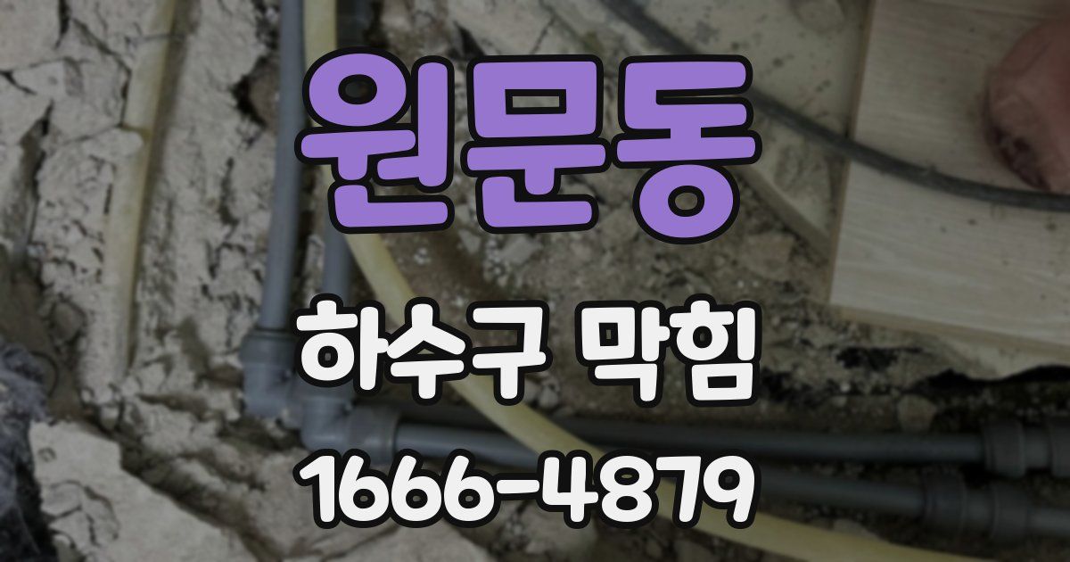 원문동 하수구 막힘