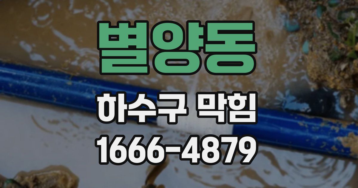 별양동 하수구 막힘
