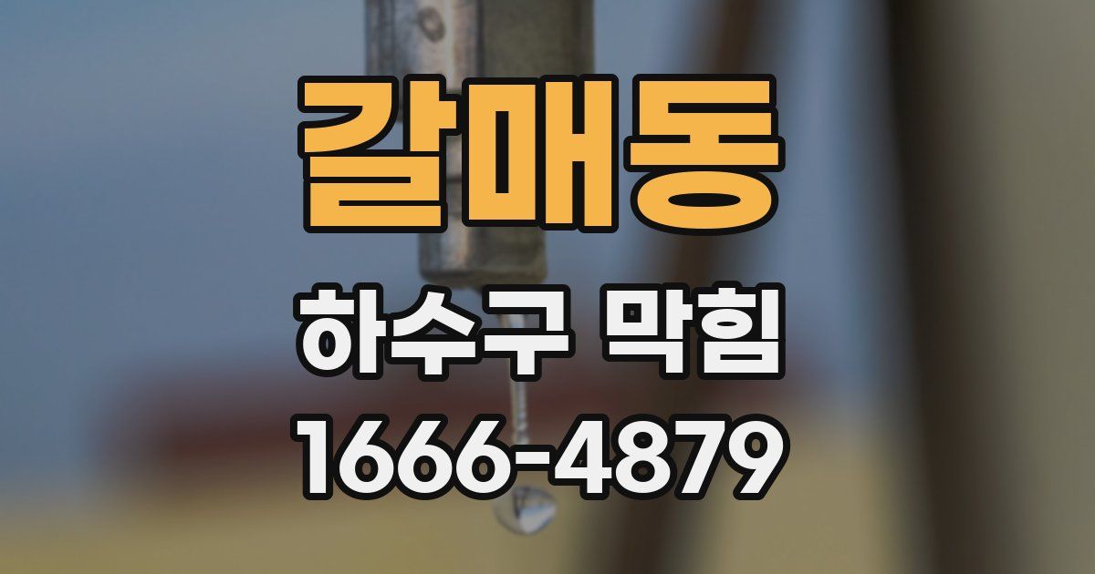 갈매동 하수구 막힘