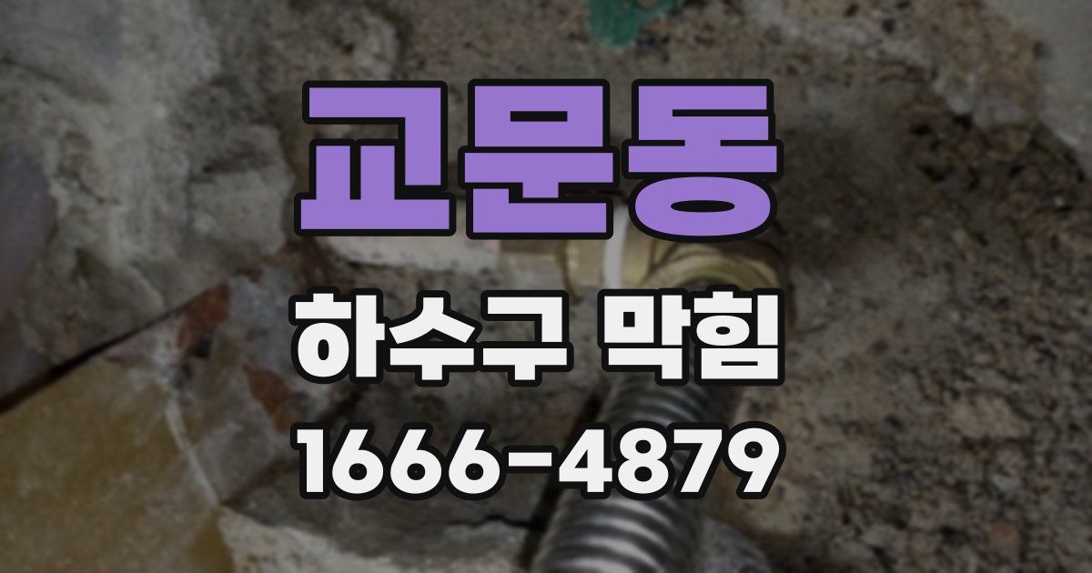교문동 하수구 막힘