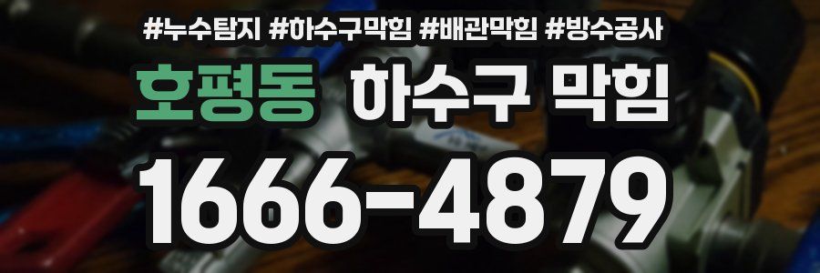 호평동 하수구 막힘