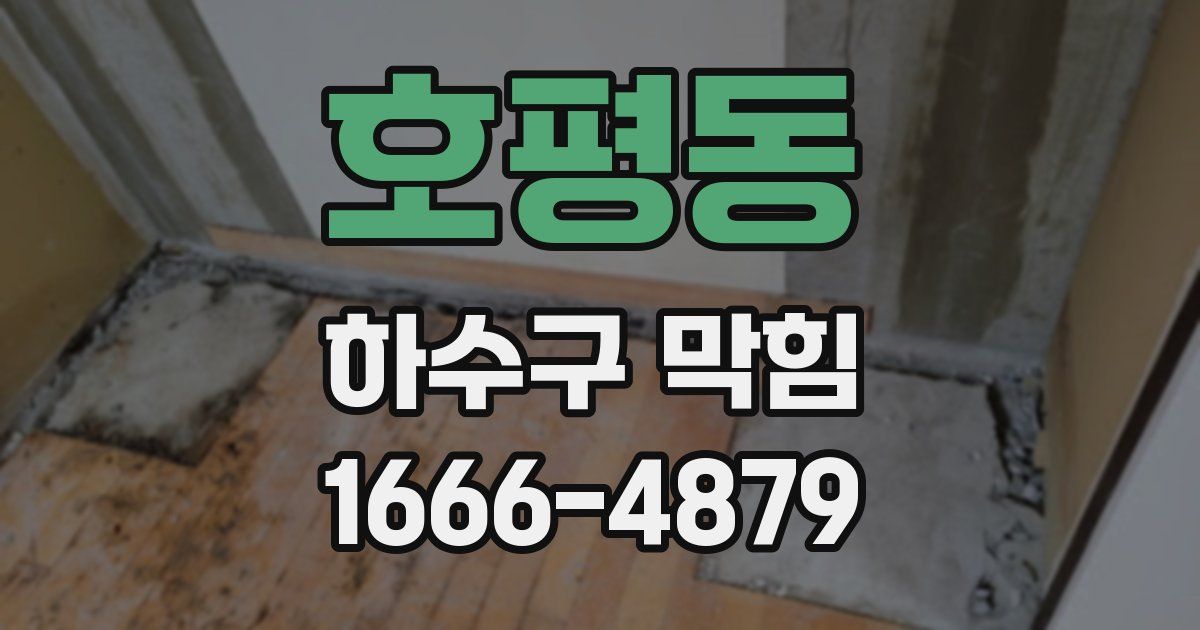 호평동 하수구 막힘
