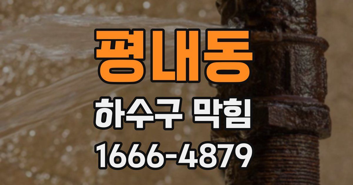 평내동 하수구 막힘