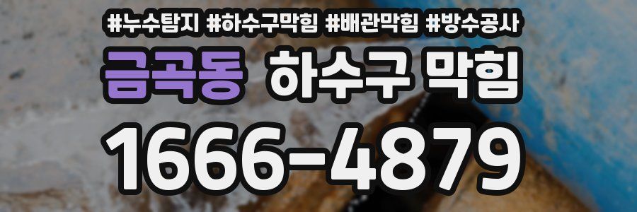 금곡동 하수구 막힘