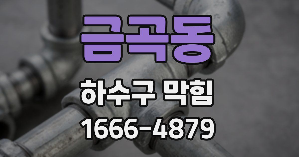 금곡동 하수구 막힘
